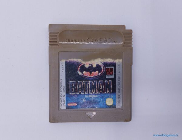 Batman The Video Game